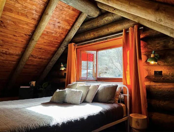 Coromandel Secluded Log Cabin Retreat Hikuai Exteriör bild